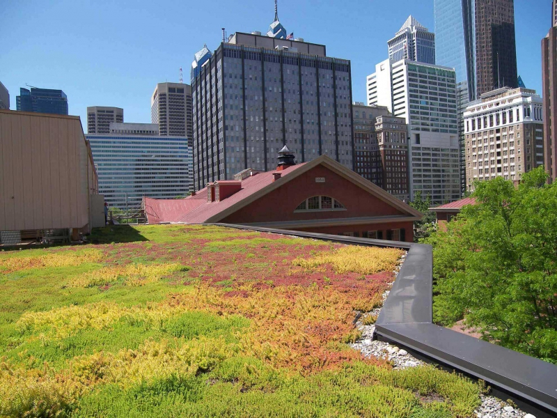 paysagiste-BLAUSASC-min_green-roof-portfolio-4